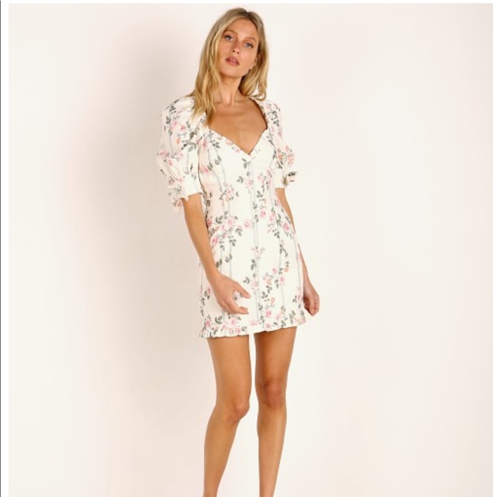 NWT For Love or Lemons Mini Dress
